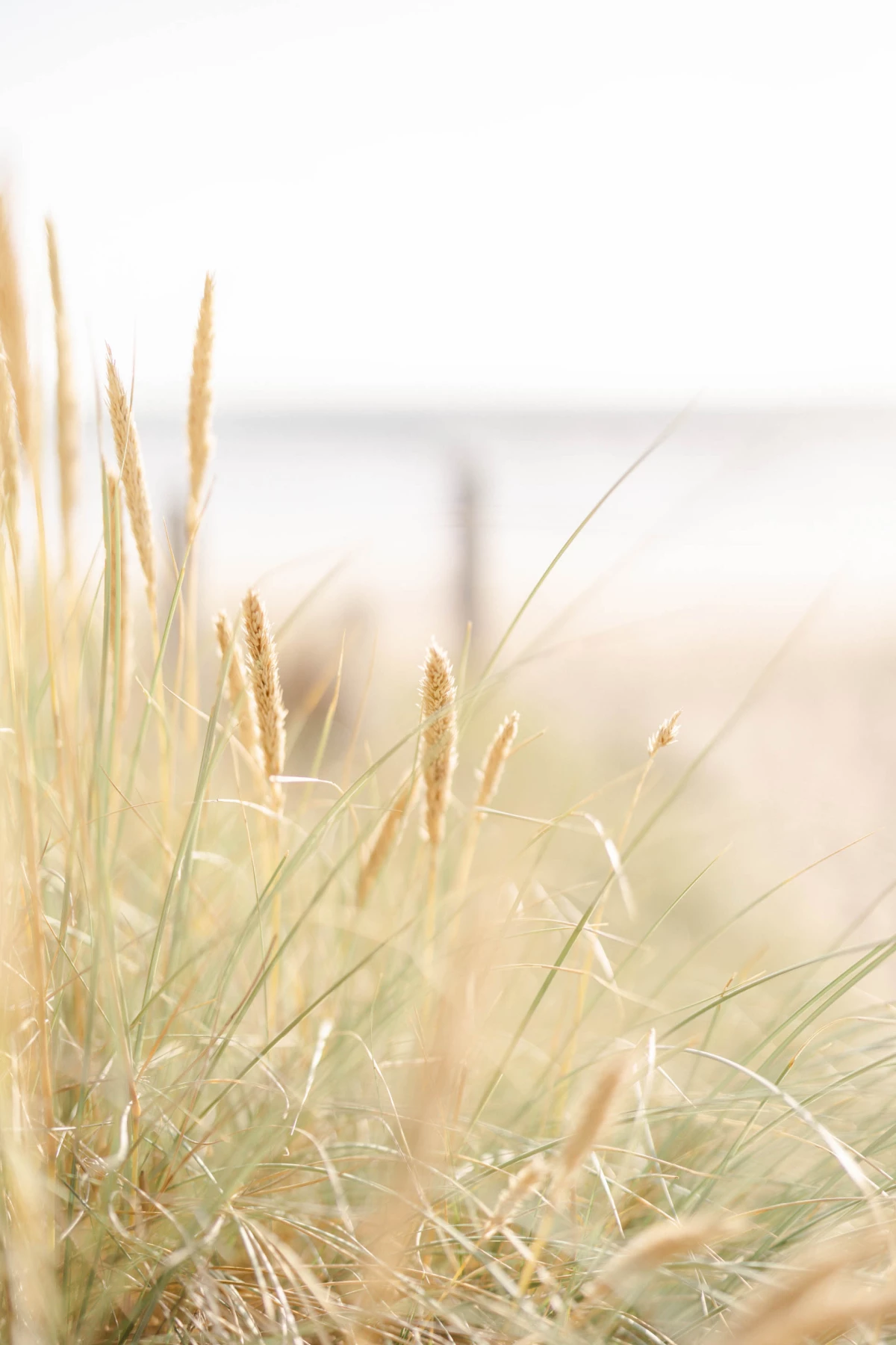 vent beige gris extérieur