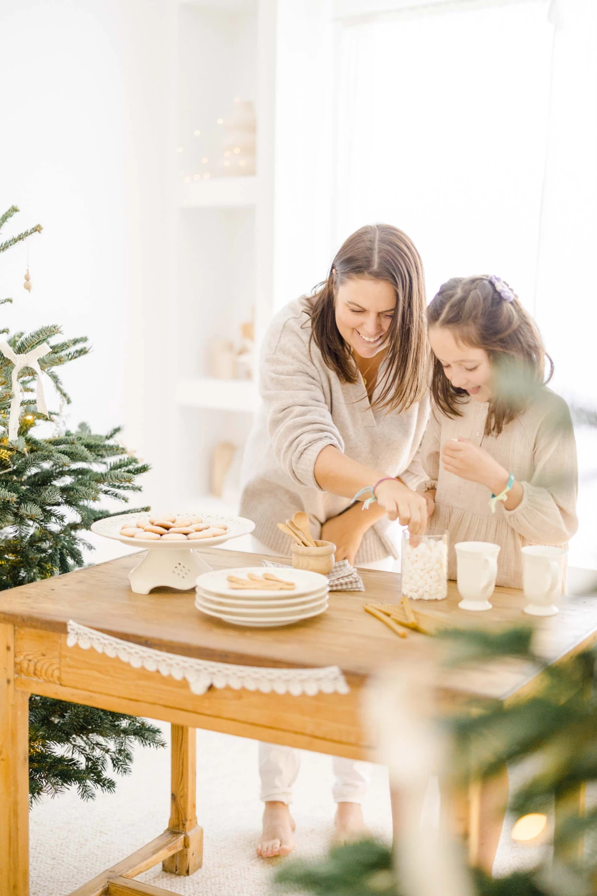 vaisselle meubles nourriture chaise plante d'intérieur