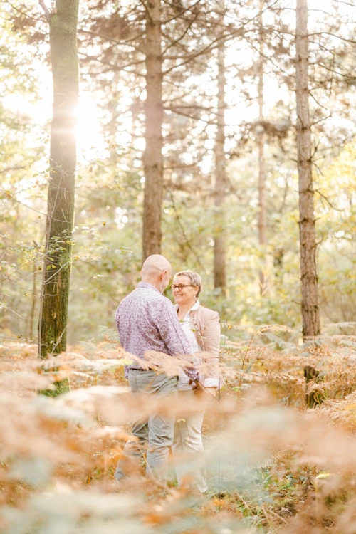 forêt bosquet beige marron gris