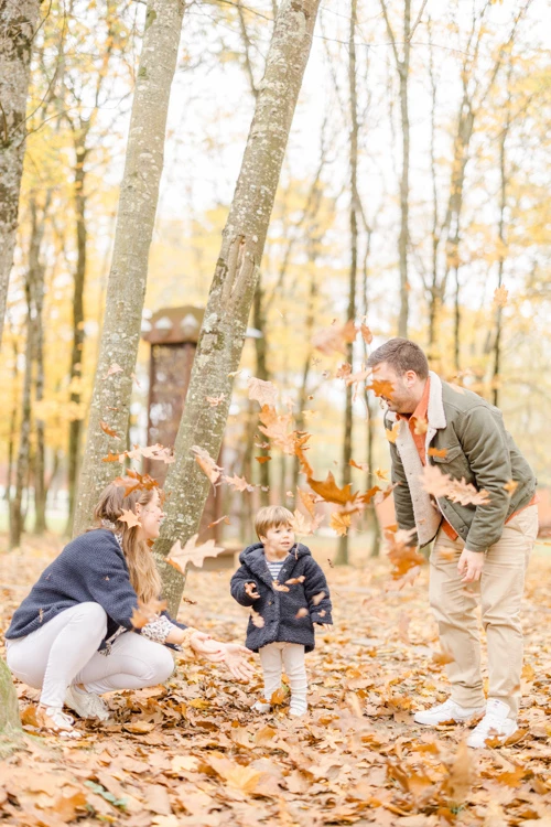 feuille bois forêt bosquet gris