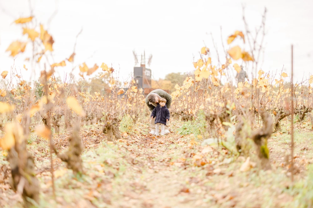 champ plantation ferme rose gris