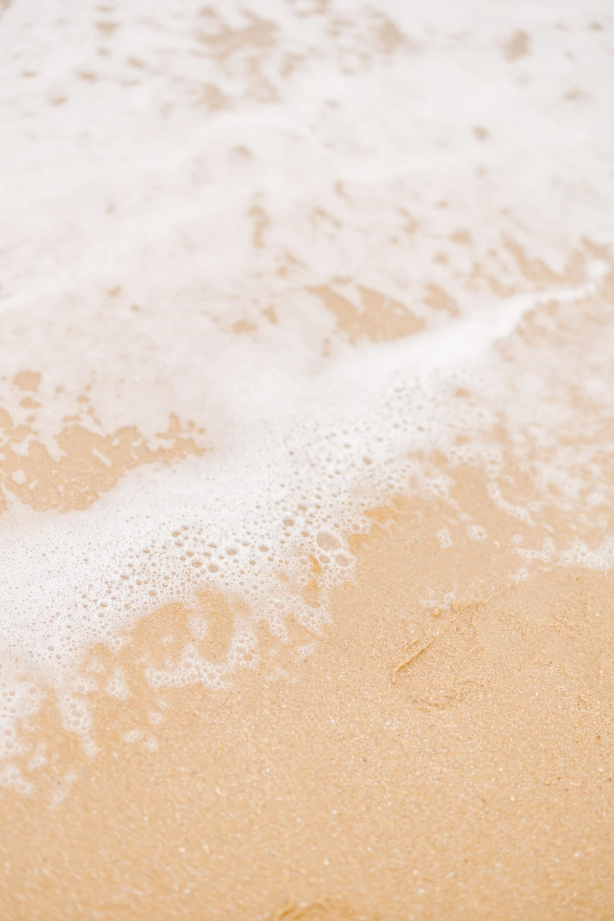 brun sable mousse plage beige