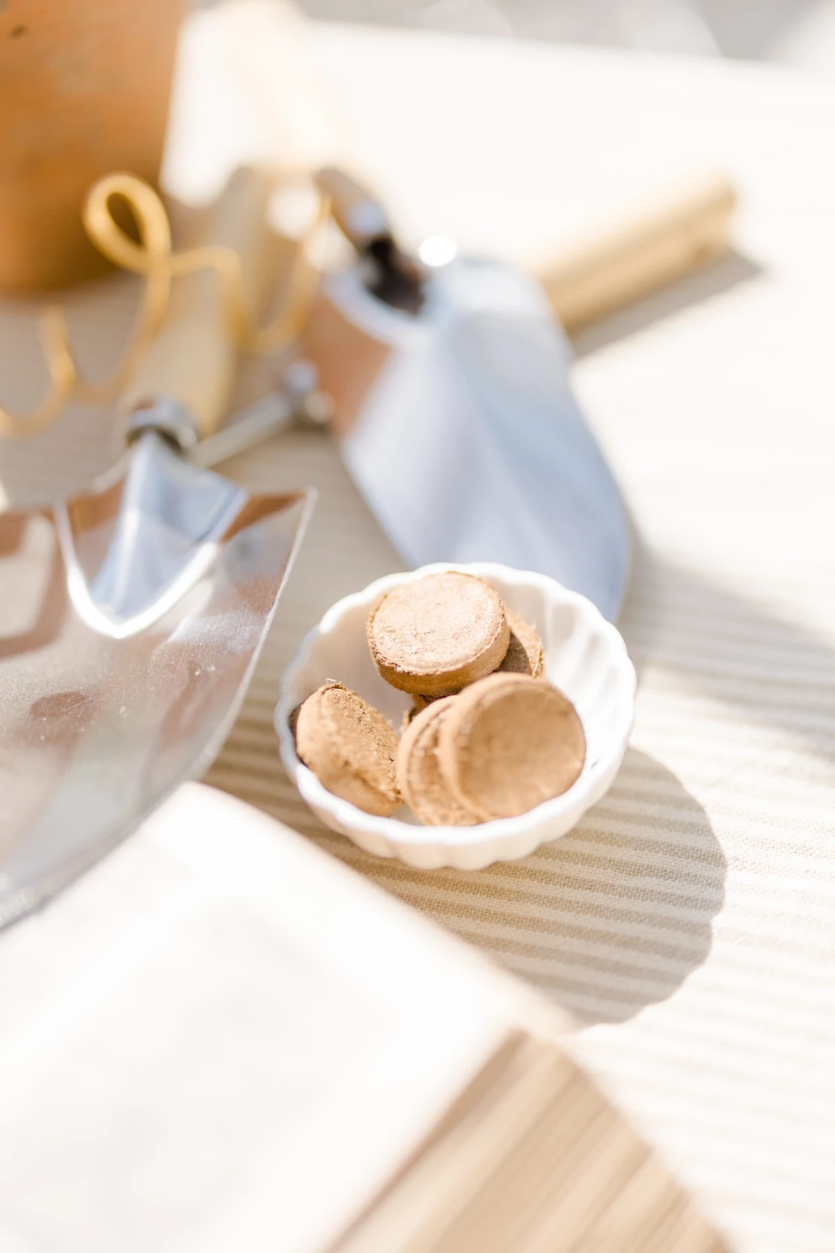 Détail préparatifs séance photo : macarons beiges disposés dans une coupelle blanche, ambiance douce et lumineuse de printemps