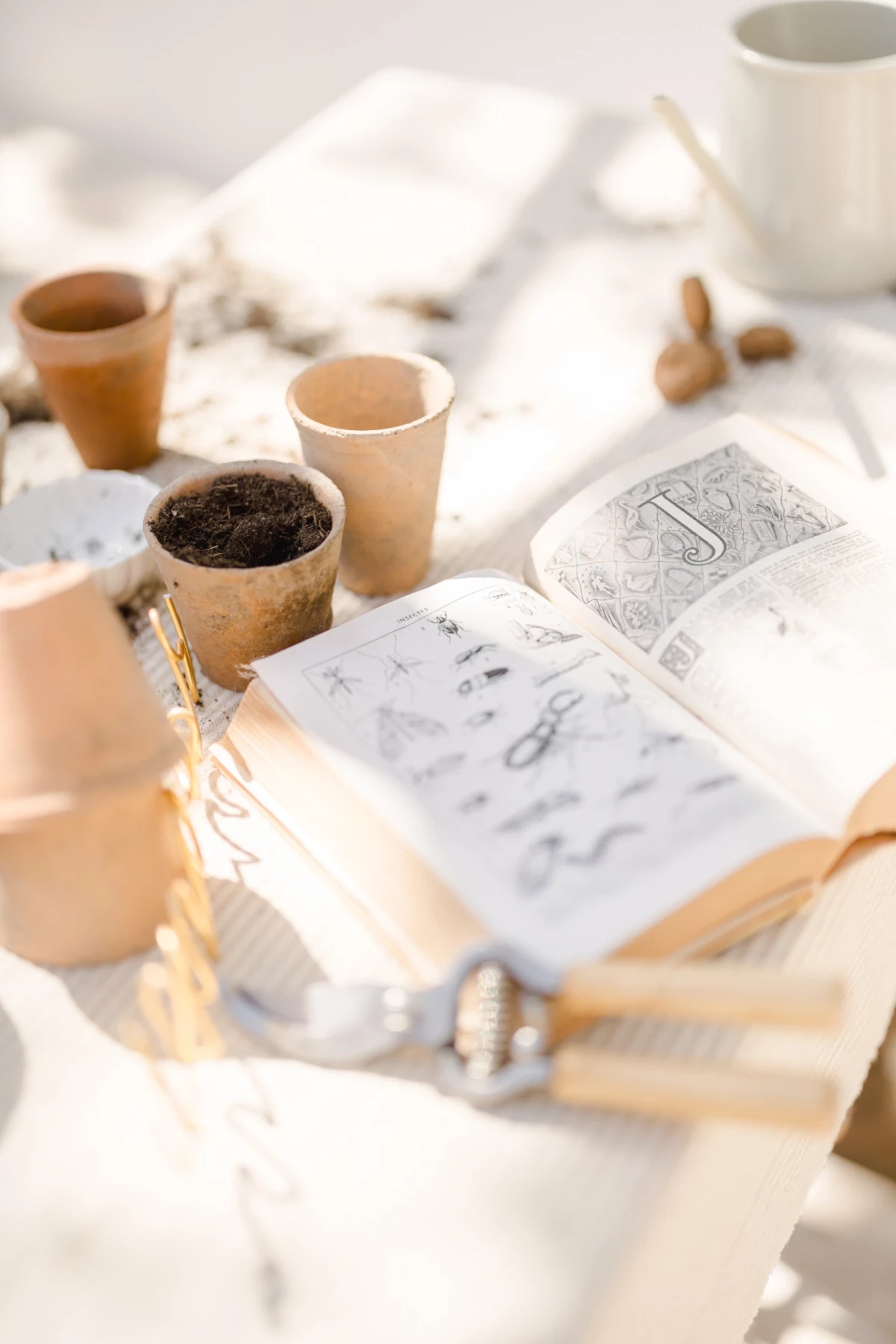 Séance famille jardinage en verrière : atelier mère-fille avec pots en terre cuite et graines, lumière naturelle de printemps