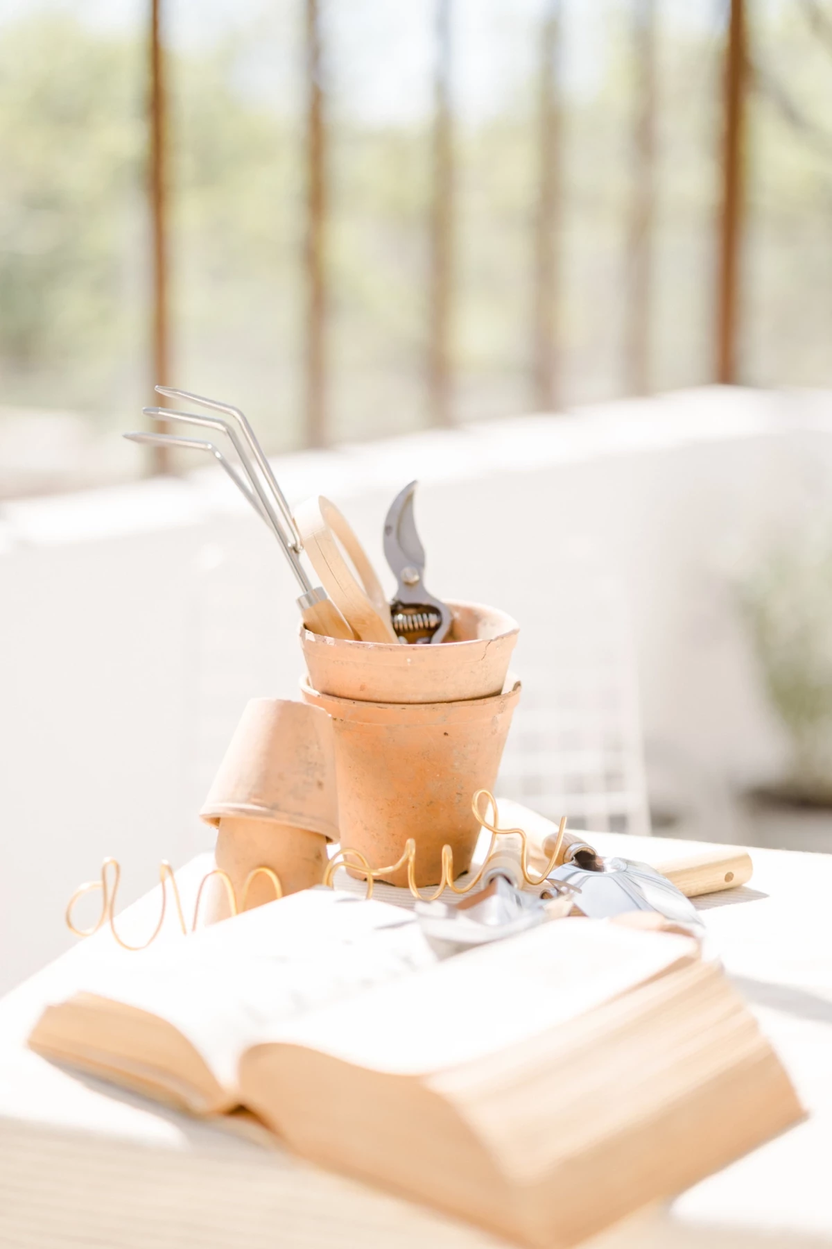 Séance famille jardinage : pot de fleurs en terre cuite et outils disposés sur livre ouvert, lumière naturelle printanière