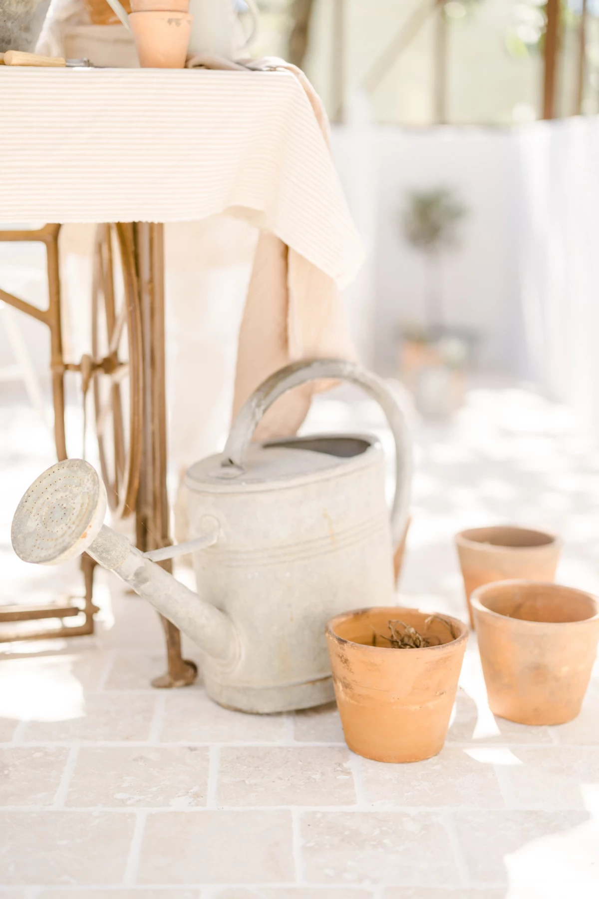 Séance famille jardinage : arrosoir vintage et pots en terre cuite sur table blanche dans une verrière lumineuse de printemps