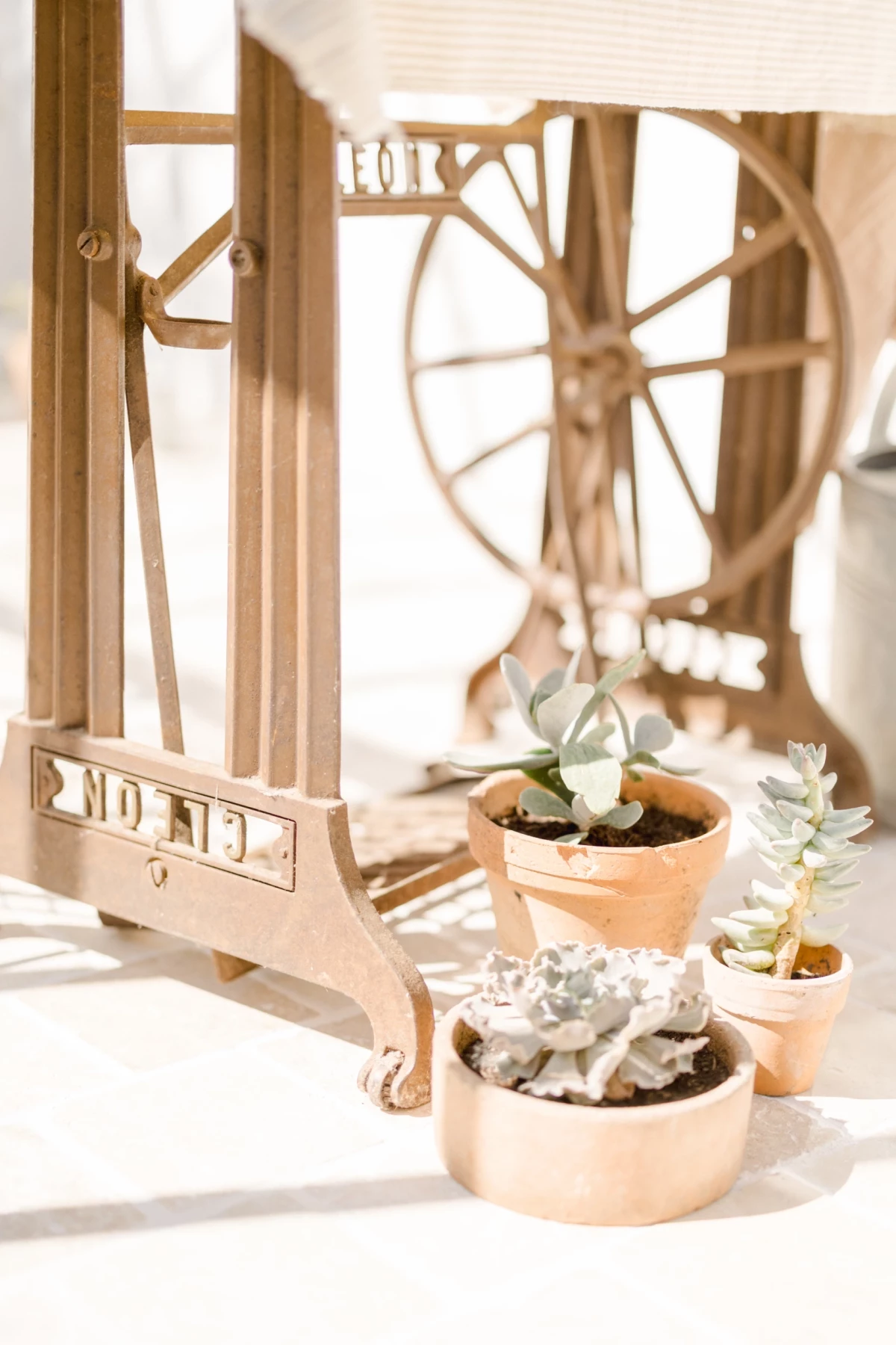 Photographie professionnelle