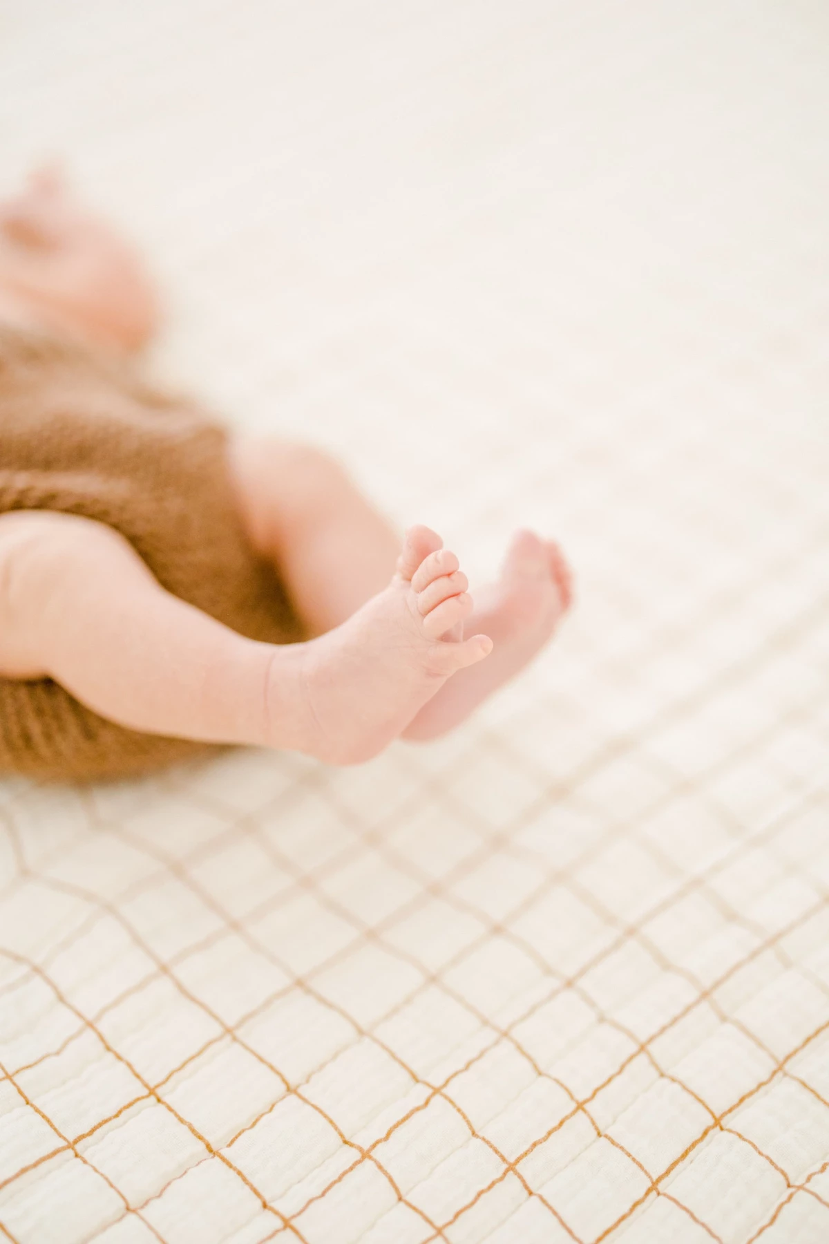 Photographie professionnelle