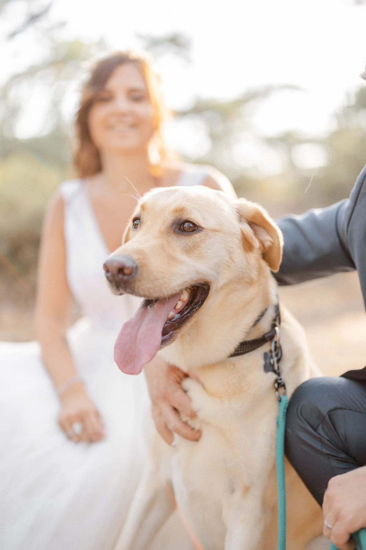 bonheur amour sourire collier gris