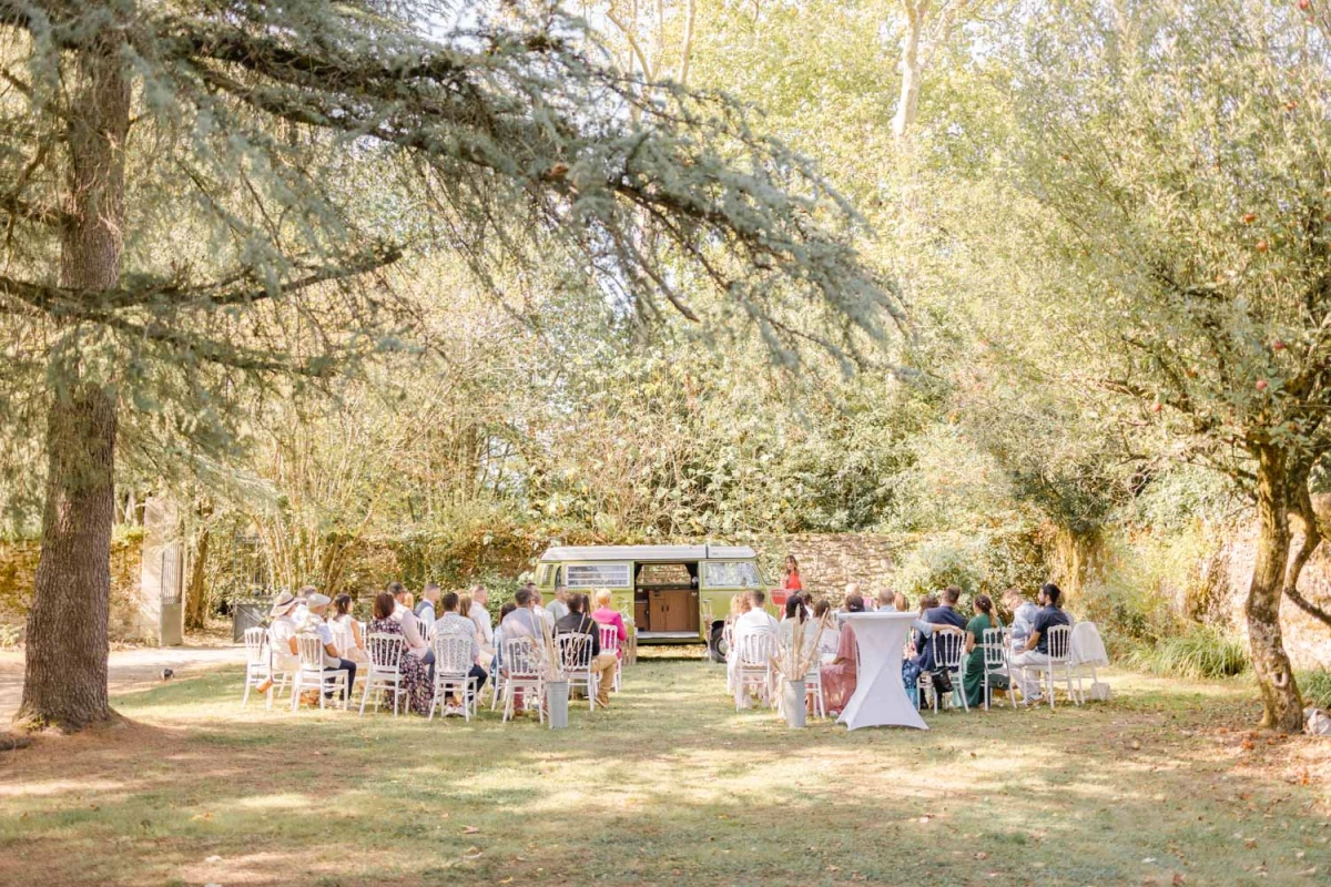 arbre, bifurquer, brindille, jardin, printemps