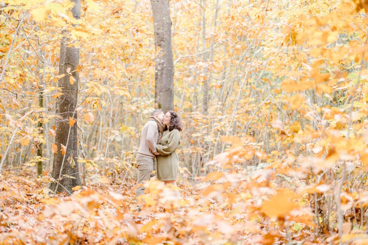 bonheur romance amour forêt rose