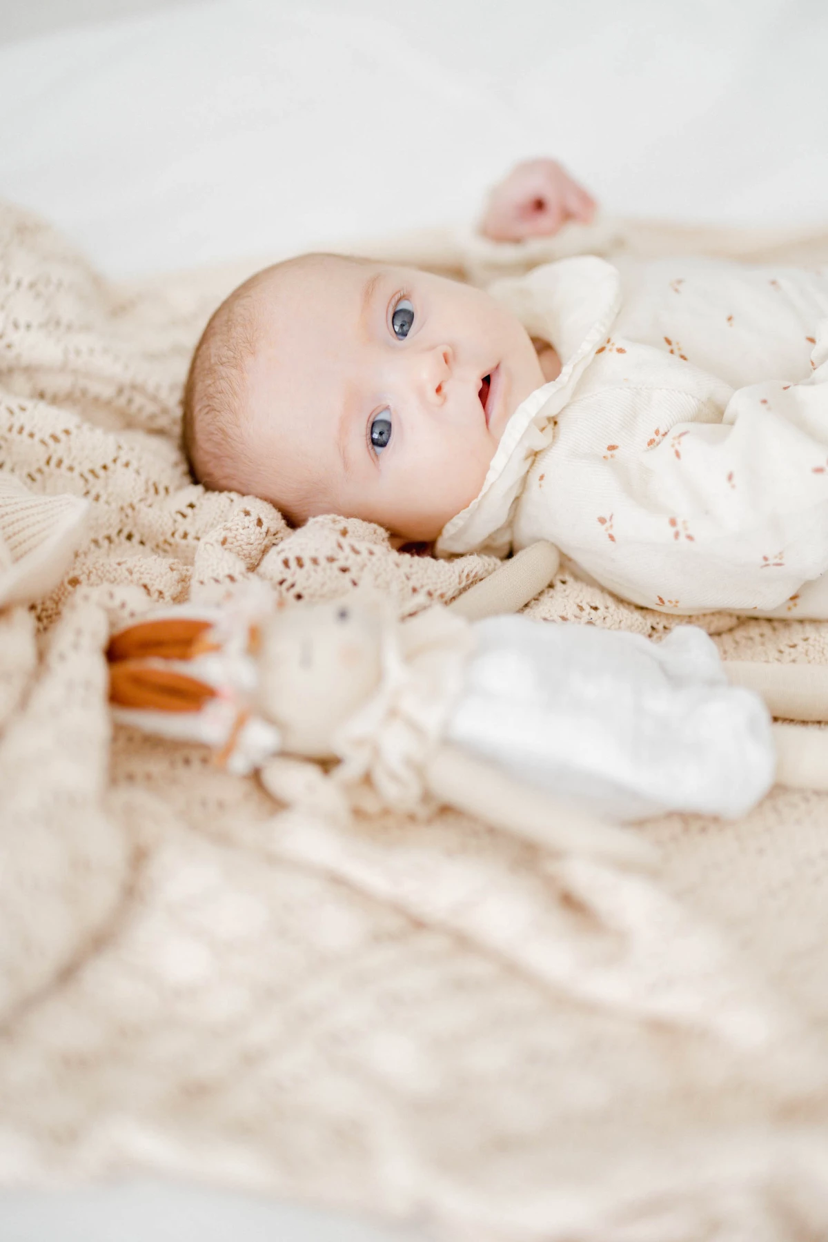 enfant marron gris bébé studio