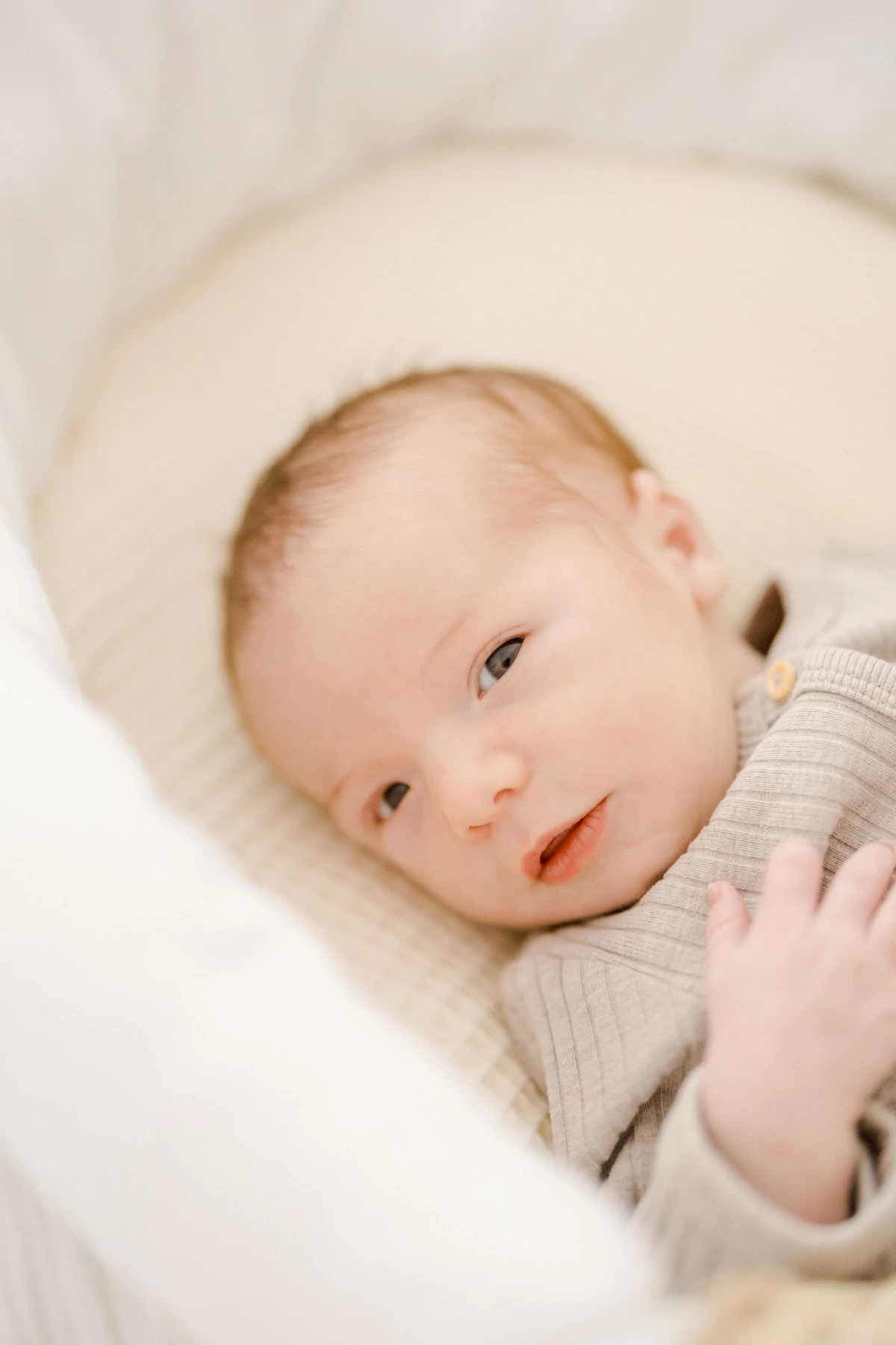 enfant marron gris bébé studio