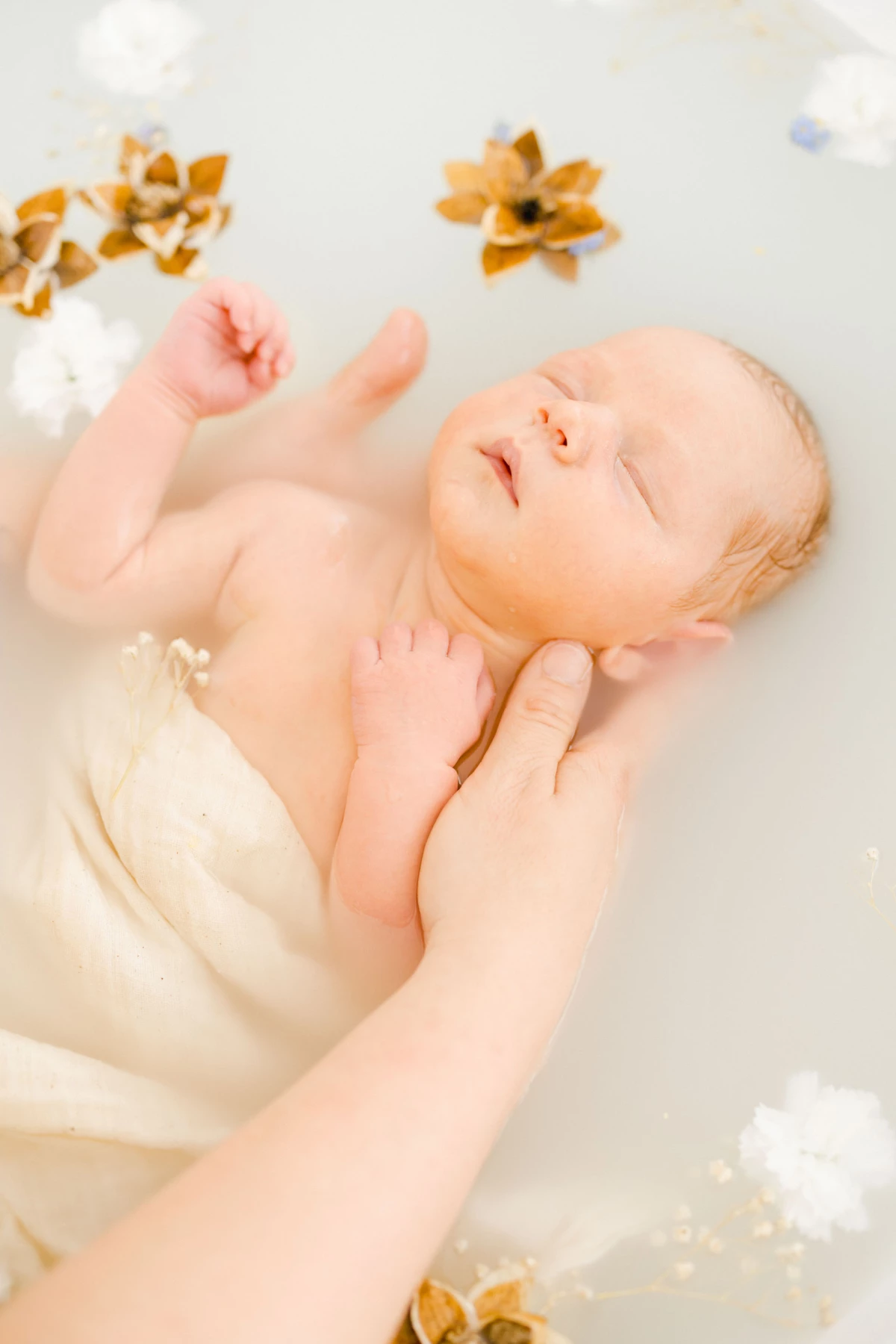 pétale enfant rose marron gris