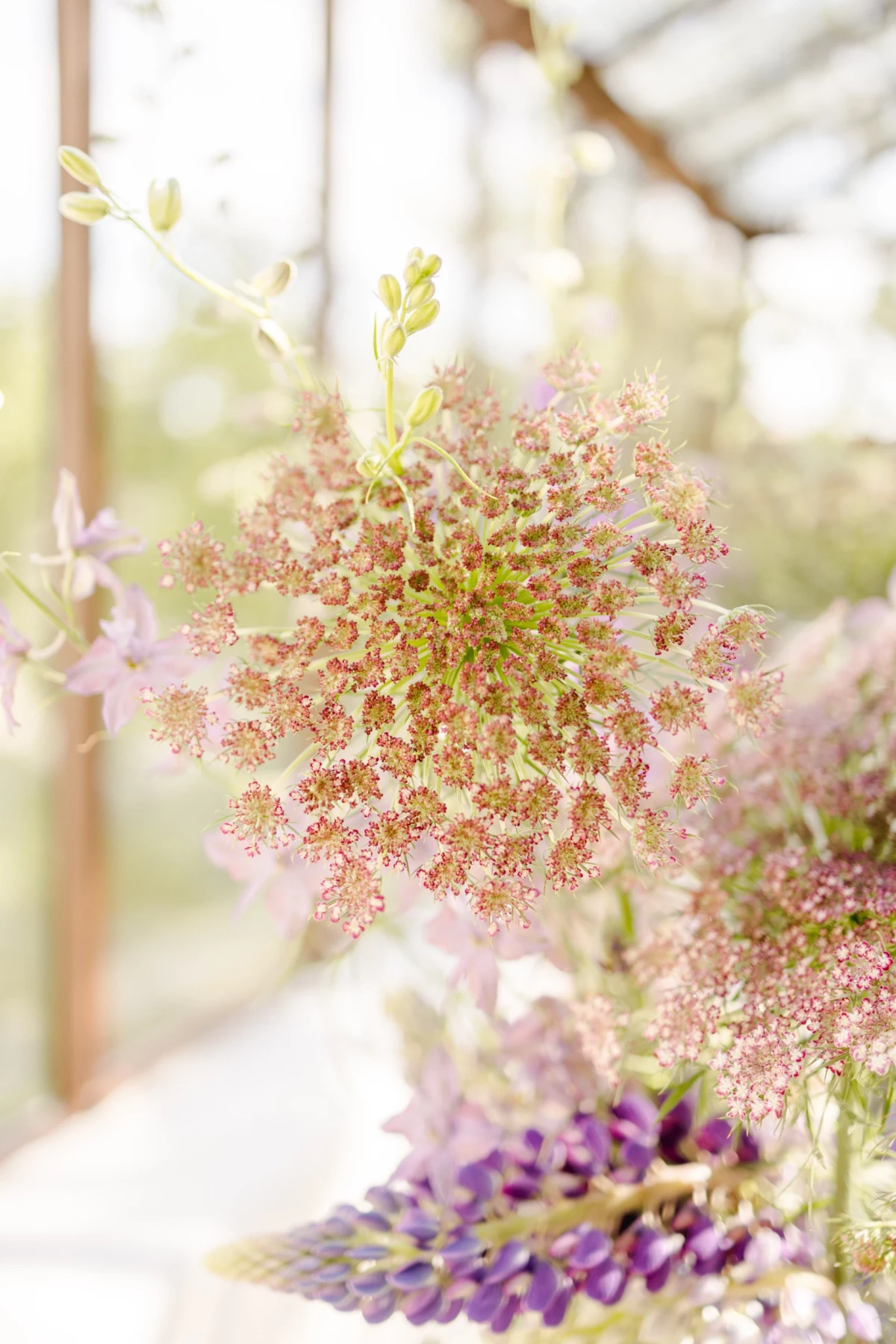 Séance corporate fleuriste : bouquet délicat de fleurs séchées rose poudré dans une verrière, ambiance douce et lumineuse en Vendée
