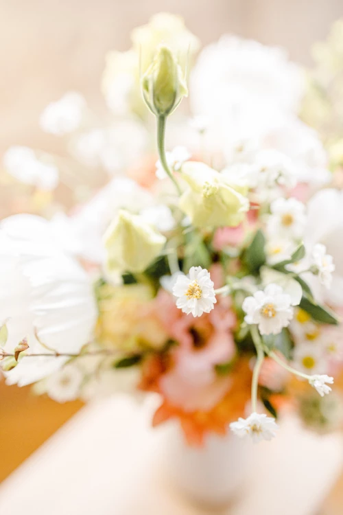 fleur pétale jaune rose composition florale