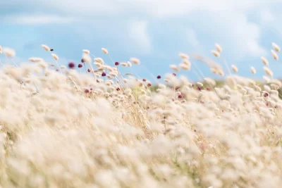 Saint-Jean-de-Monts - Lieu de shooting photo