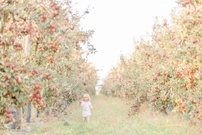 Petite fille en robe claire courant dans un verger de pommiers aux couleurs automnales
