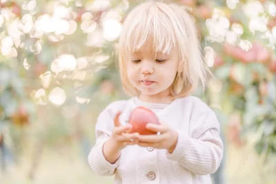 Petite fille blonde tenant délicatement une pomme rouge dans un verger ensoleillé en automne
