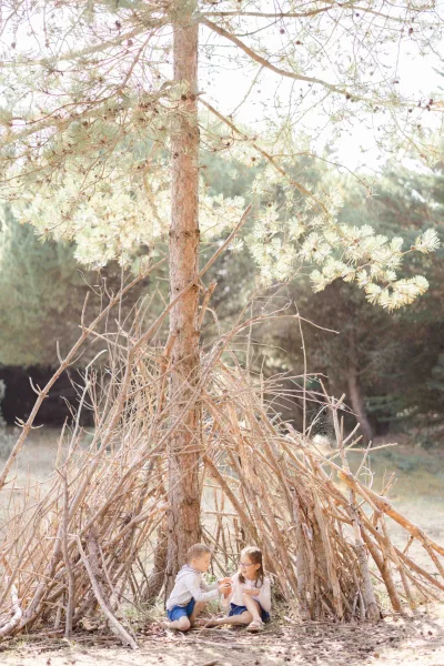 bois gris beige marron forêt